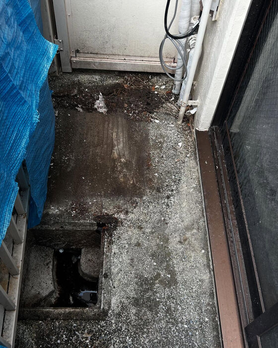 画像2177
